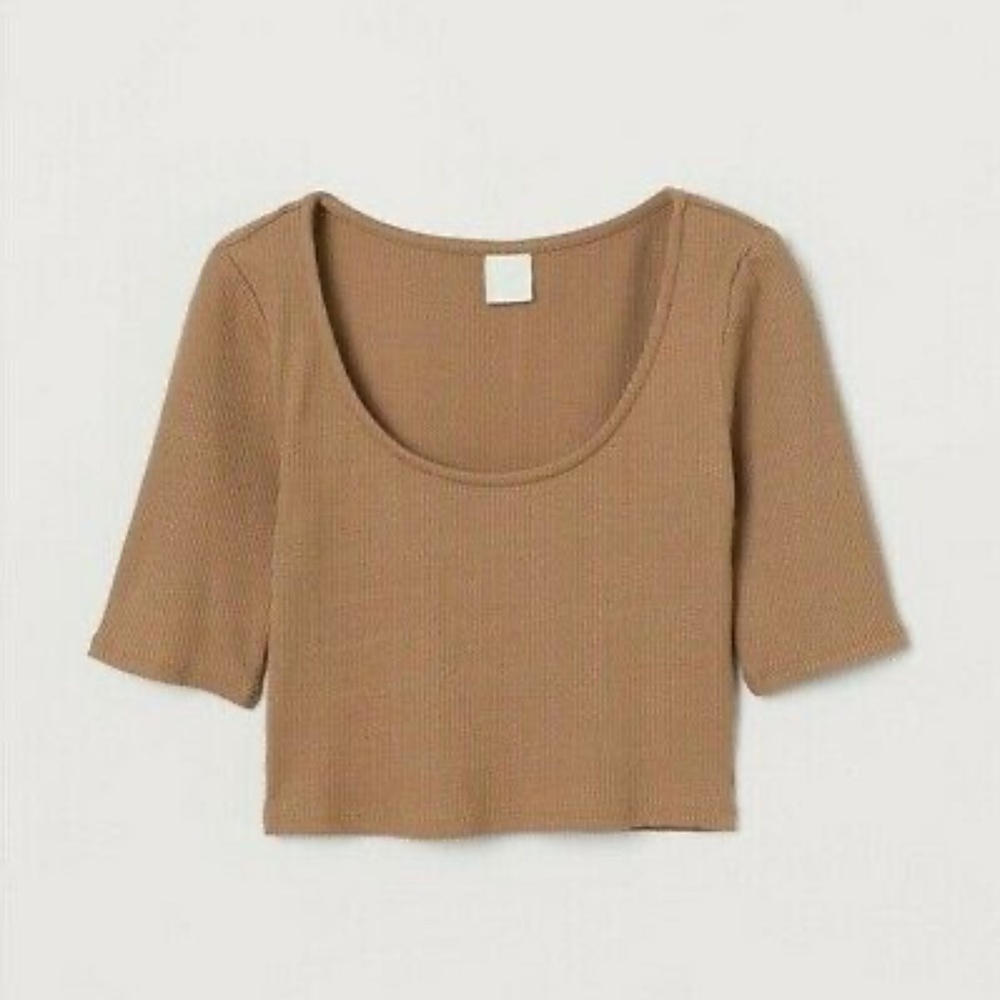 H&M Top Brown Tan Cropped Ribbed Short Sleeve Knit Pullover